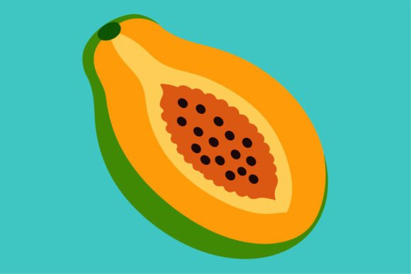 Papaya Cut Open Vector Illustration: A Practical Evaluation for Designers