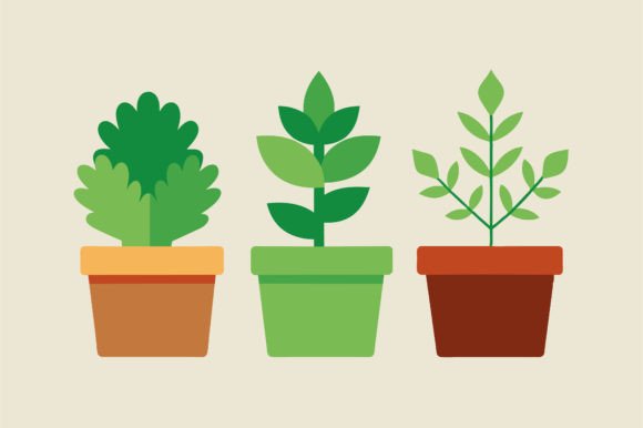 Set of Office Plants in Pots Vector: A Practical Guide to Choosing and Using Premium Digital Assets